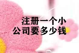 注册一个小公司要多少钱 注册一个小公司要多少钱