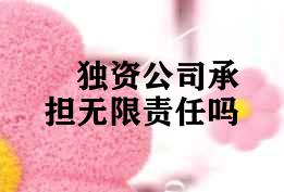 独资公司承担无限责任吗 独资公司承担无限责任吗