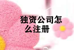 独资公司怎么注册 独资公司怎么注册