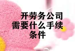 开劳务公司需要什么手续条件
