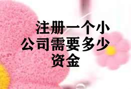 注册一个小公司需要多少资金 注册一个小公司需要多少资金