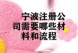 宁波注册公司需要哪些材料和流程 宁波注册公司需要哪些材料和流程