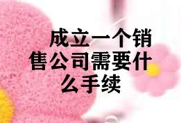 成立一个销售公司需要什么手续