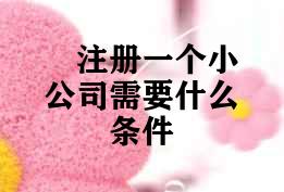 注册一个小公司需要什么条件 注册一个小公司需要什么条件