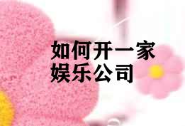 如何开一家娱乐公司 如何开一家娱乐公司