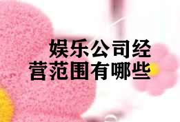 娱乐公司经营范围有哪些 娱乐公司经营范围有哪些