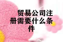 贸易公司注册需要什么条件 贸易公司注册需要什么条件