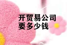 开贸易公司要多少钱 开贸易公司要多少钱