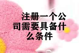 注册一个公司需要具备什么条件 注册一个公司需要具备什么条件