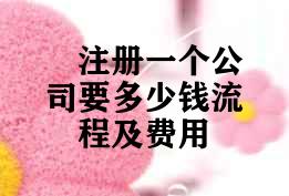 注册一个公司要多少钱流程及费用 注册一个公司要多少钱流程及费用