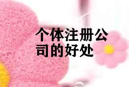 个体注册公司的好处 个体注册公司的好处