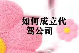 如何成立代驾公司 如何成立代驾公司