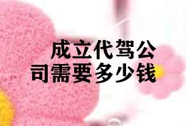 成立代驾公司需要多少钱 成立代驾公司需要多少钱