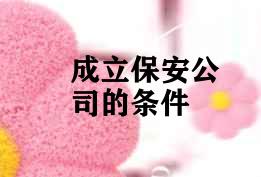 成立保安公司的条件 成立保安公司的条件