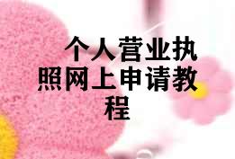 个人营业执照网上申请教程
