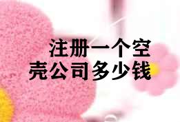 注册一个空壳公司多少钱 注册一个空壳公司多少钱