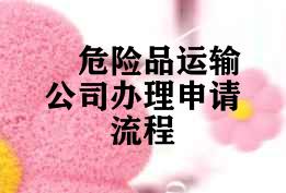 危险品运输公司办理申请流程