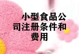 小型食品公司注册条件 小型食品公司注册条件