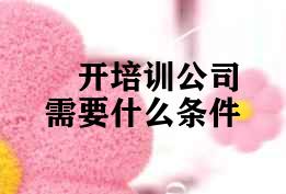 开培训公司需要什么条件