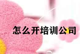 怎么开培训公司