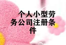 个人小型劳务公司注册条件 个人小型劳务公司注册条件