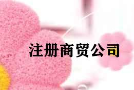 注册商贸公司
