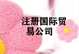 注册国际贸易公司 注册国际贸易公司