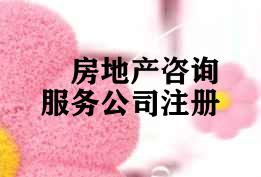 房地产咨询服务公司注册 房地产咨询服务公司注册