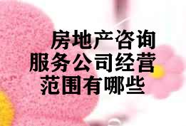 房地产咨询服务公司经营范围有哪些 房地产咨询服务公司经营范围有哪些