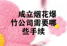成立烟花爆竹公司需要哪些手续