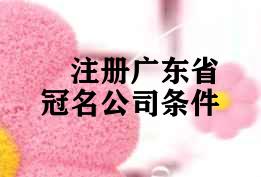 注册广东省冠名公司条件 注册广东省冠名公司条件
