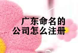 广东命名的公司怎么注册 广东命名的公司怎么注册