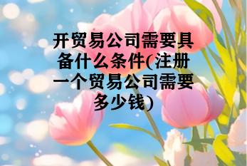 开贸易公司需要具备什么条件(注册一个贸易公司需要多少钱)