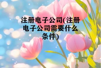 注册电子公司(注册电子公司需要什么条件)