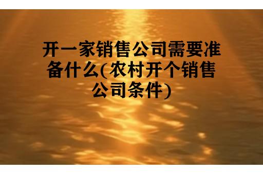 开一家销售公司需要准备什么(农村开个销售公司条件)