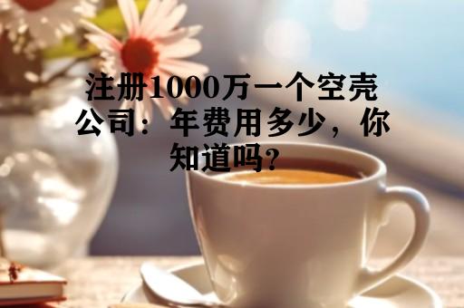 注册1000万一个空壳公司：年费用多少，你知道吗？