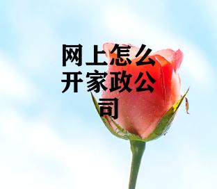 网上怎么开家政公司