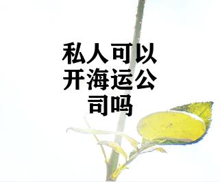 私人可以开海运公司吗