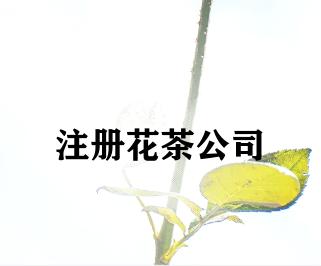 注册花茶公司