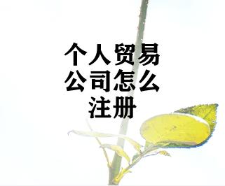 个人贸易公司怎么注册