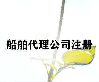 船舶代理公司注册