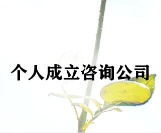 个人成立咨询公司