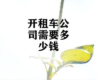 开租车公司需要多少钱