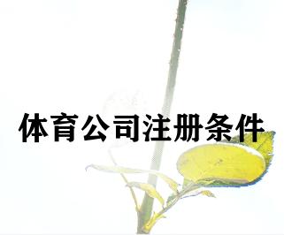 体育公司注册条件