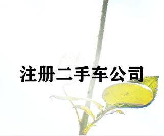 注册二手车公司