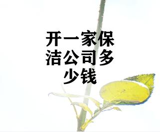 开一家保洁公司多少钱