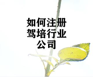 如何注册驾培行业公司