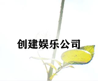 创建娱乐公司