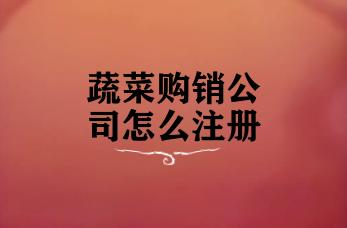 蔬菜购销公司怎么注册