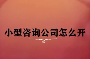 小型咨询公司怎么开